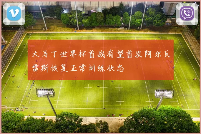 大马丁世界杯首战有望首发阿尔瓦雷斯恢复正常训练状态